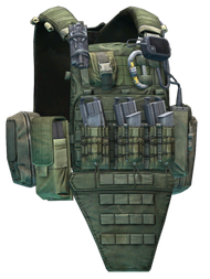 Чехол для бронеплит Crye Precision "AVS" (Ranger Green)
