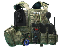 Чехол для бронеплит Ars Arma "CPC MOD.1" (A-TACS FG)