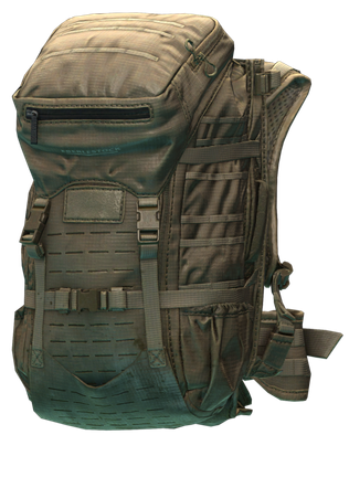 Рюкзак Eberlestock "G2 Gunslinger II" (Dry Earth)