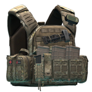 Чехол для бронеплит Shellback Tactical "Banshee" (A-TACS AU) По умолчанию