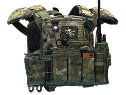 Чехол для бронеплит Crye Precision "CPC" (Goons Edition) По умолчанию