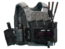 Чехол для бронеплит Spiritus Systems "LV-119" (Black Division, Облегченный)