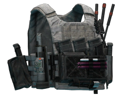 Чехол для бронеплит Spiritus Systems "LV-119" (Black Division, Облегченный) По умолчанию
